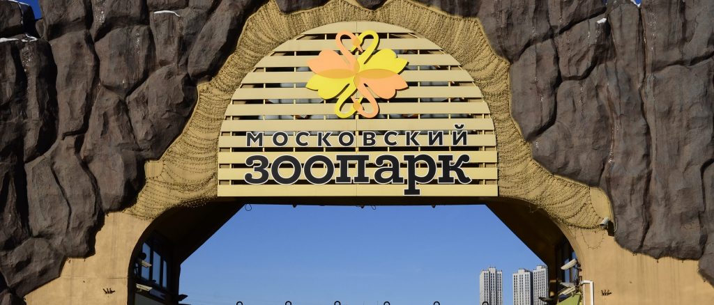 Декоративное ограждение установили над пролетным строением моста в Московском зоопарке. Фото: Анна Быкова