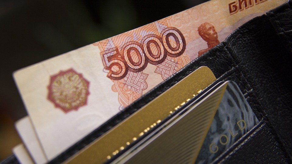 Больше миллиона рублей отправили на пожертвования через сайт мэра Москвы