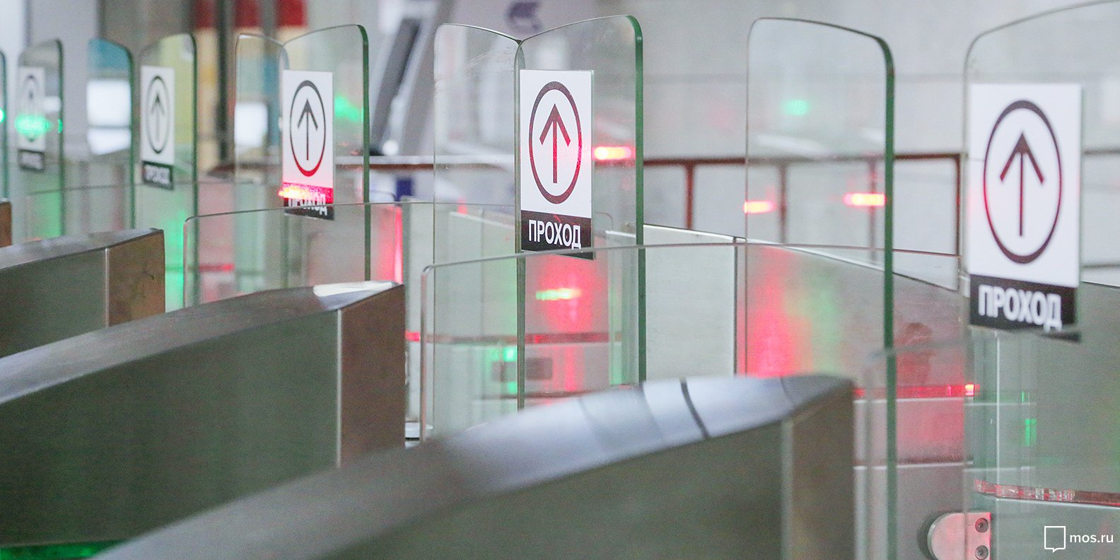 Эко-инсталляции появились на станции метро «Деловой центр». Фото: сайт мэра Москвы