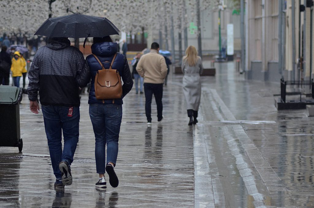 Жителей Москвы предупредили о небольшом дожде и облачной погоде