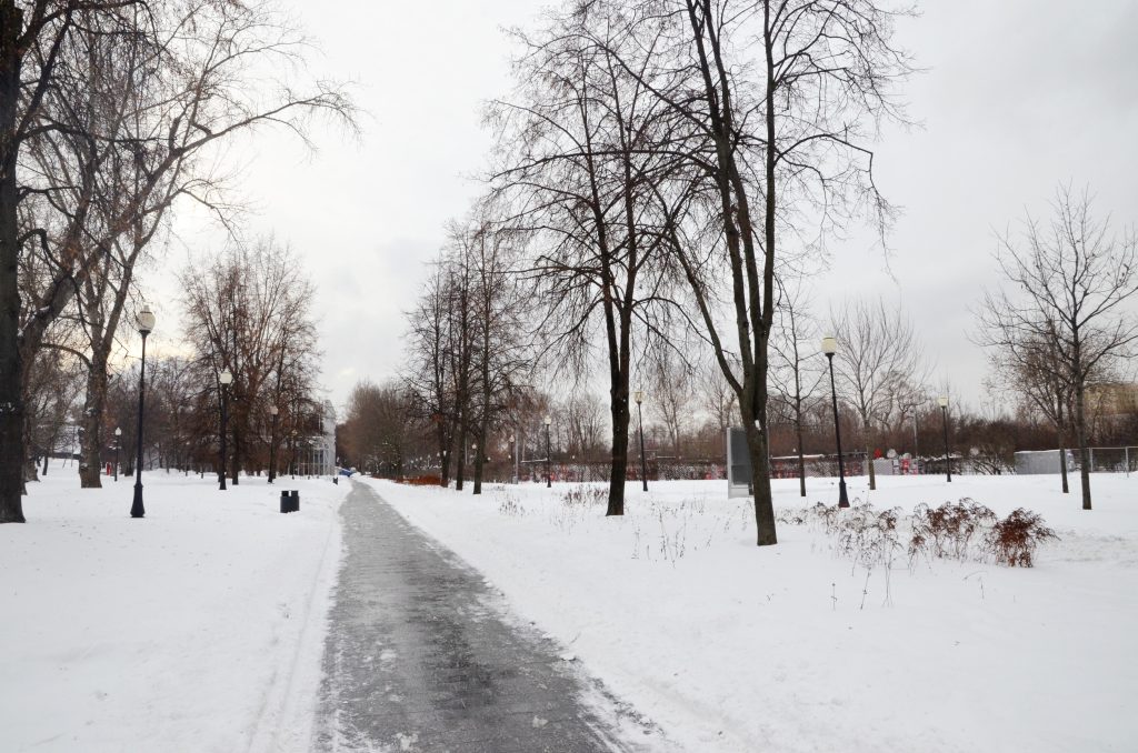 Специалисты начнут восстановление павильона «Шестигранник» в Парке Горького в следующем году. Фото: Анна Быкова