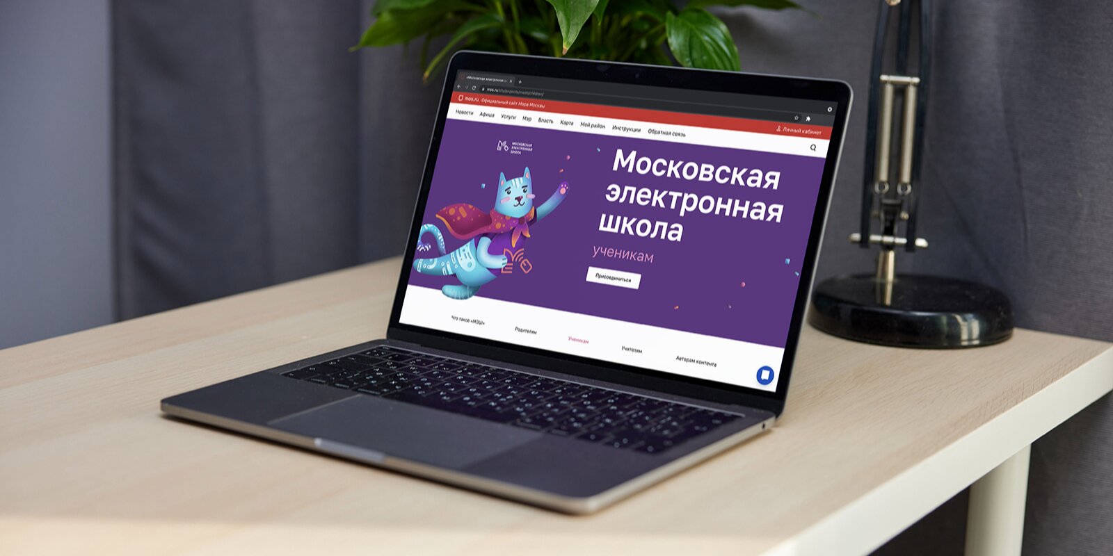 Тематическая страница «Московской электронной школы» на сайте мэра Москвы получила обновления. Фото: mos.ru