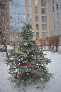 5 декабря 2021 года. Жители дома № 43 на Нижней Красносельской вышли нарядить елку в своем дворе. Фото: Анна Малакмадзе, «Вечерняя Москва»