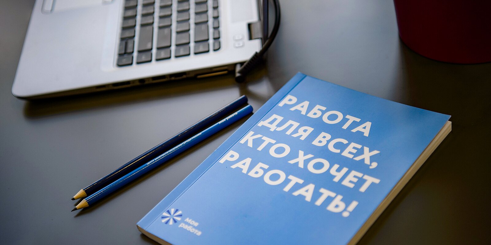 Онлайн-тренинги для начинающих предпринимателей запустит «Моя работа». Фото: сайт мэра Москвы