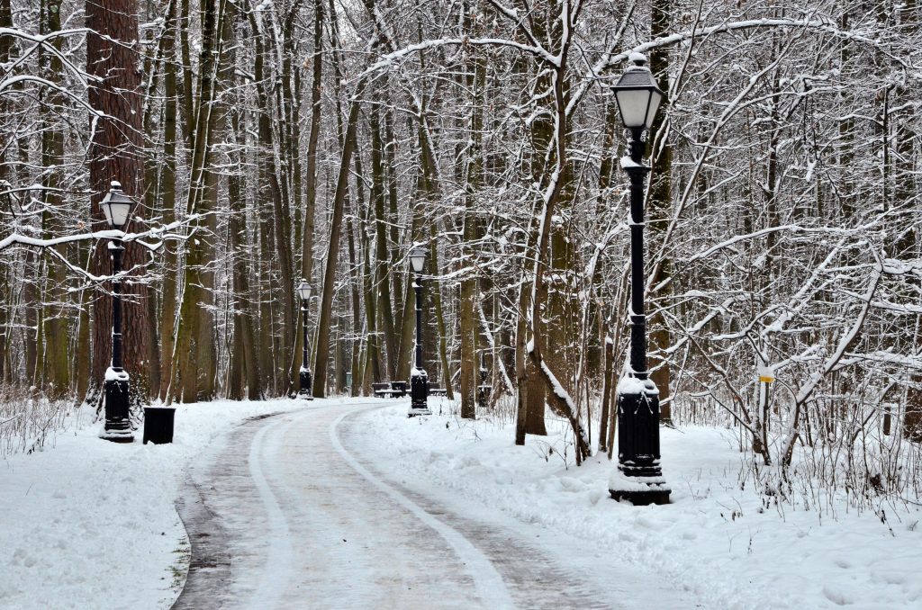 Мороз и зиму в русской литературе обсудят в «Некрасовке»