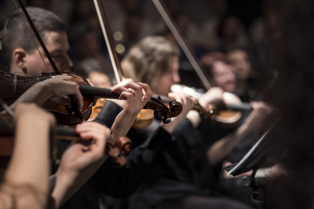 У врат мастерства: концерт скрипичной музыки организуют в «Доме Лосева»