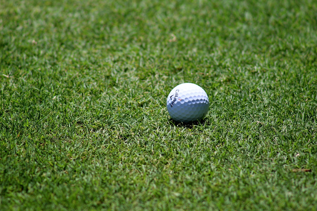 Плехановцы заняли первое место в соревнованиях по гольфу. Фото: pixabay.com