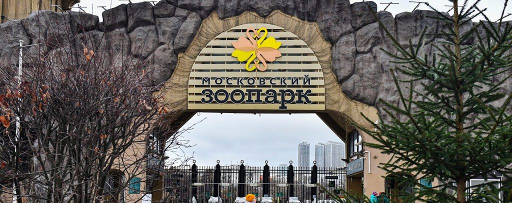 Реконструкцию пешеходного моста и нового входа завершили в Московском зоопарке