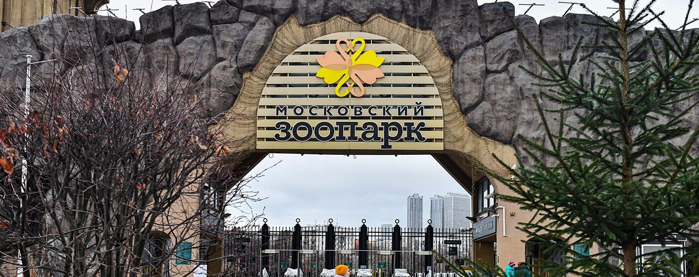 Реконструкцию пешеходного моста и нового входа завершили в Московском зоопарке. Фото: сайт мэра Москвы