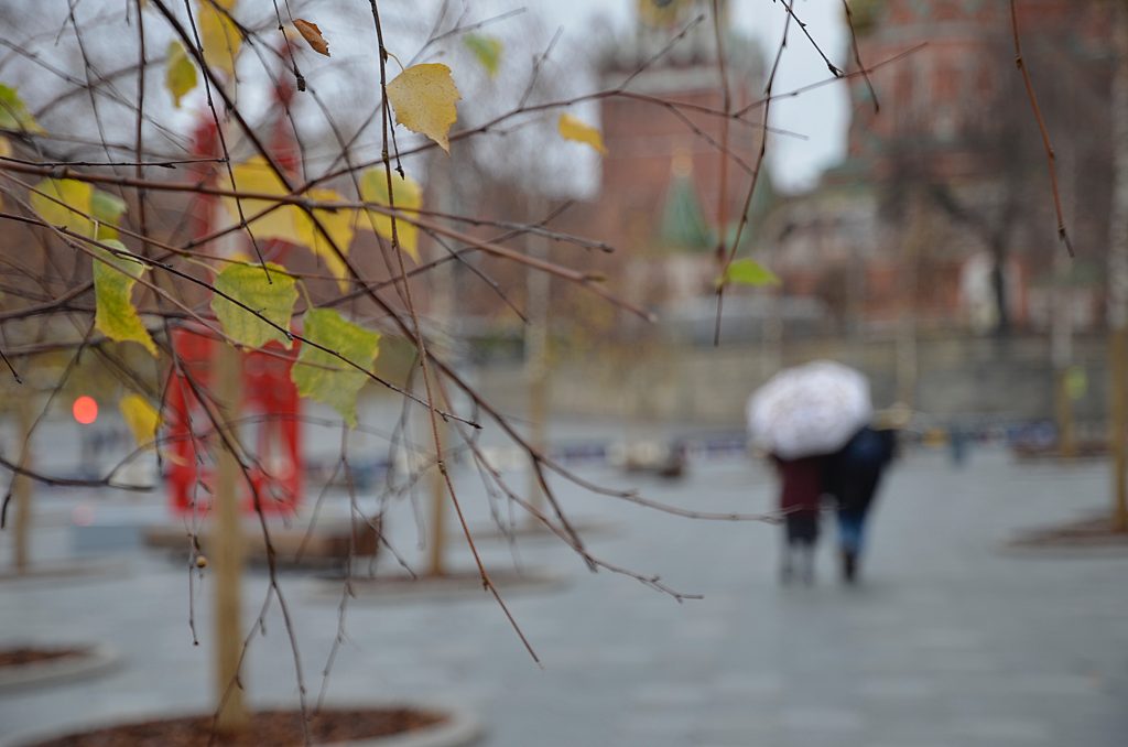 Синоптики пообещали москвичам небольшой дождь в субботу