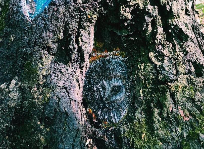Лечебные рисунки нанесут на поврежденные участки деревьев в рамках проекта «ПаркАрт». Фото: Светлана Иванова, «Вечерняя Москва»