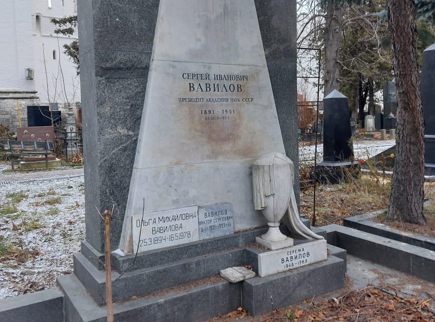 Реставраторы приведут в порядок надгробие Сергея Вавилова на Новодевичьем кладбище