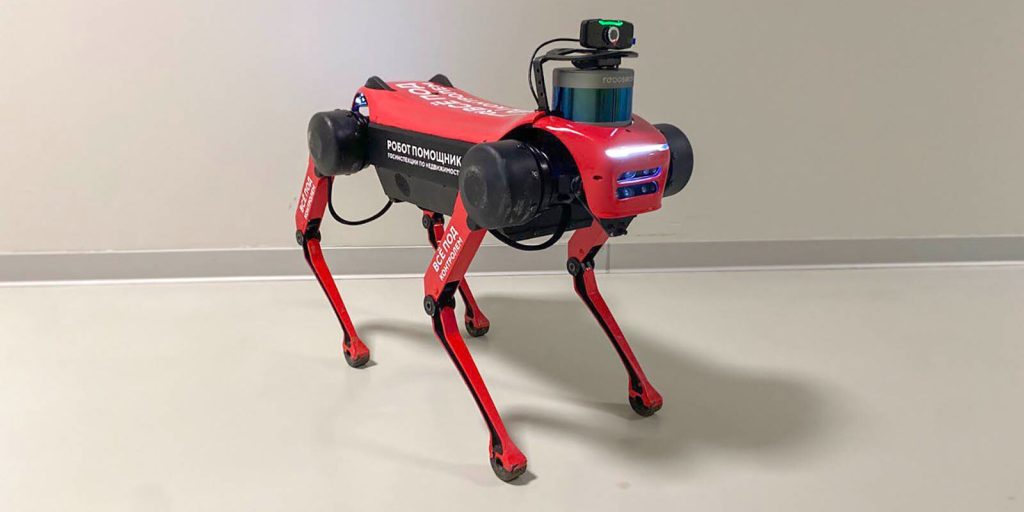 Арти: имя для робота-собаки Госинспекции по недвижимости выбрали на «Активном гражданине»