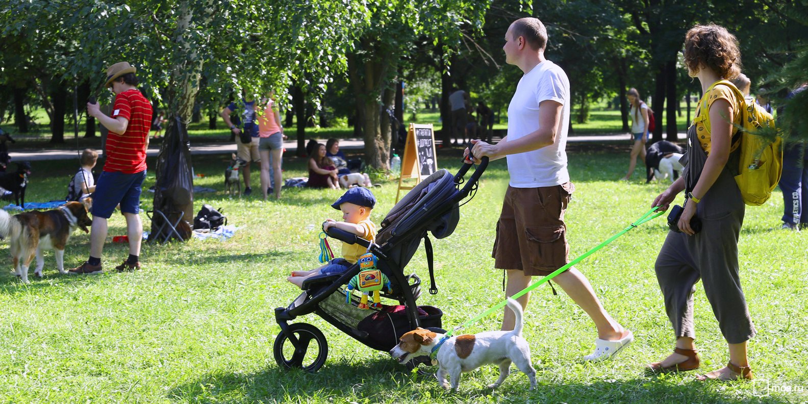 Мероприятия будут посвящены перформансам, маргинальному искусству, любви к животным и летним пикникам. Фото: сайт мэра Москвы