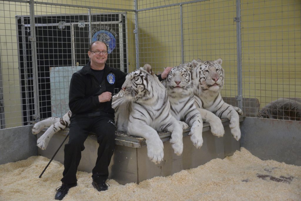 Сергей Нестеров: Из-за работы с тиграми мамин мейнкун меня недолюбливает