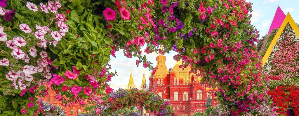 Цветочный джем: центральные площадки города украсили необычные сады