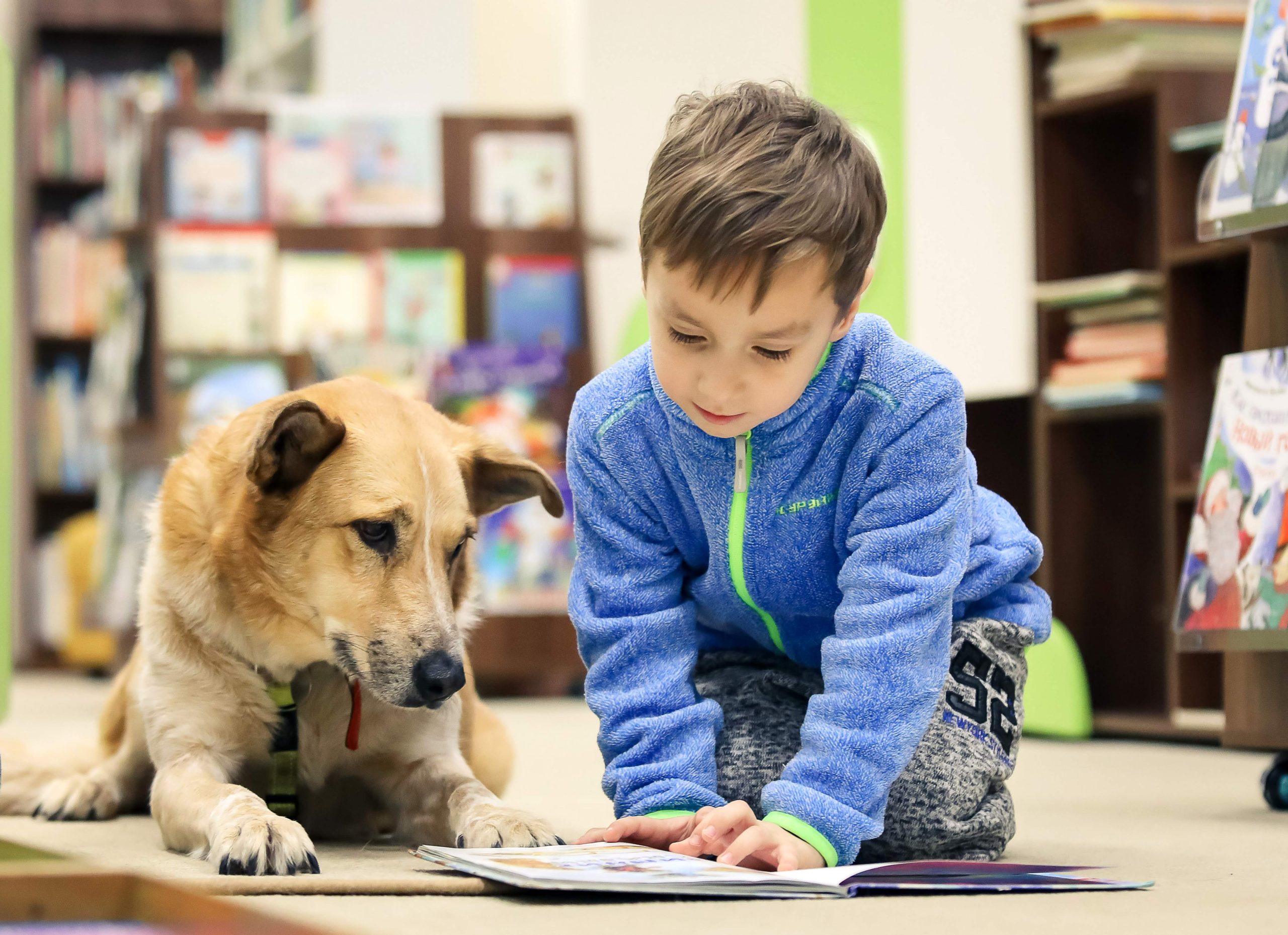 Верный слушатель, или как собаки помогают привить любовь к чтению в Государственной детской библиотеке. Фото: архив Российской государственной детской библиотеки