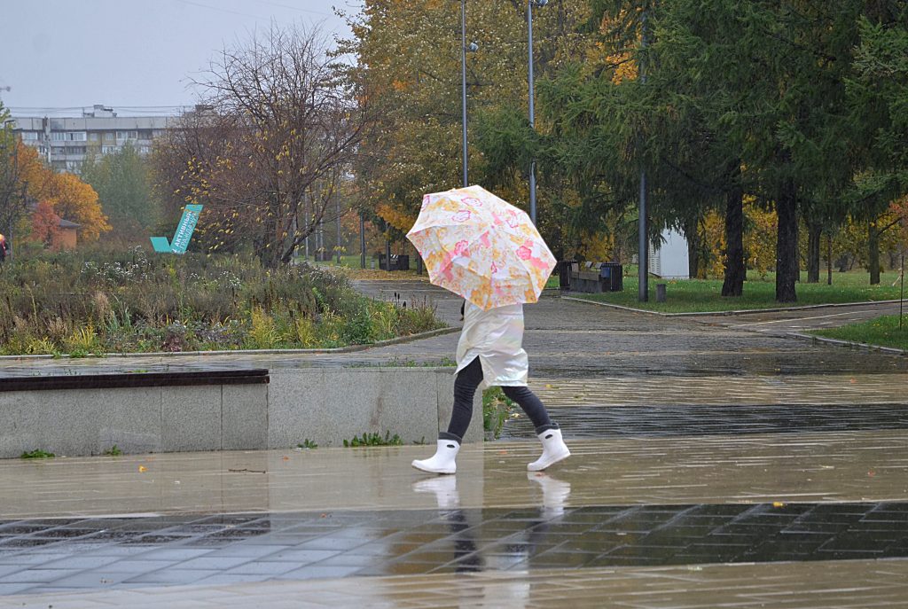 Москвичей ожидает дождливая погода в воскресенье
