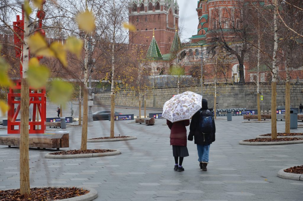 Синоптики пообещали москвичам дождь в субботу
