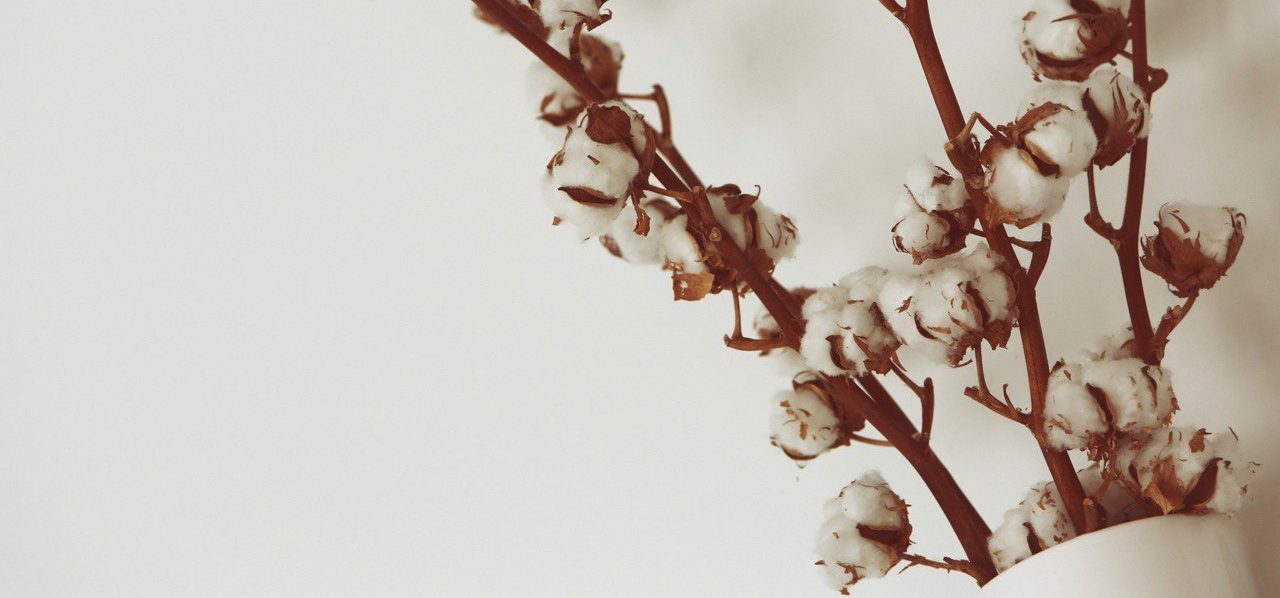 Фотоэкспозицию в старинной Субтропической оранжерее скоро дополнят работы, демонстрирующие уникальность ручного текстиля современных авторов. Фото: pixabay.com