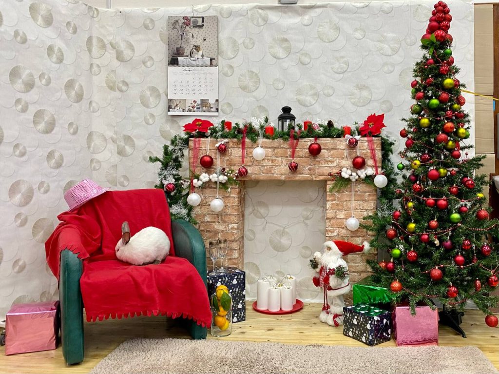 Ежегодное новогоднее мероприятие для мам юных пациентов провели в Морозовской больнице