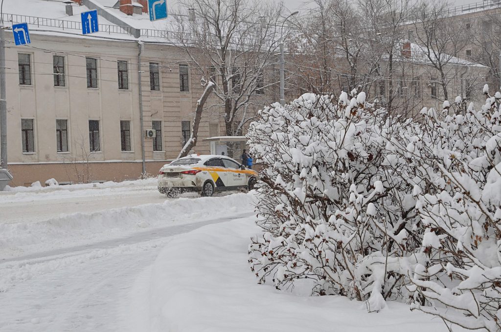 Мороз и солнце: синоптики рассказали москвичам о погоде в субботу