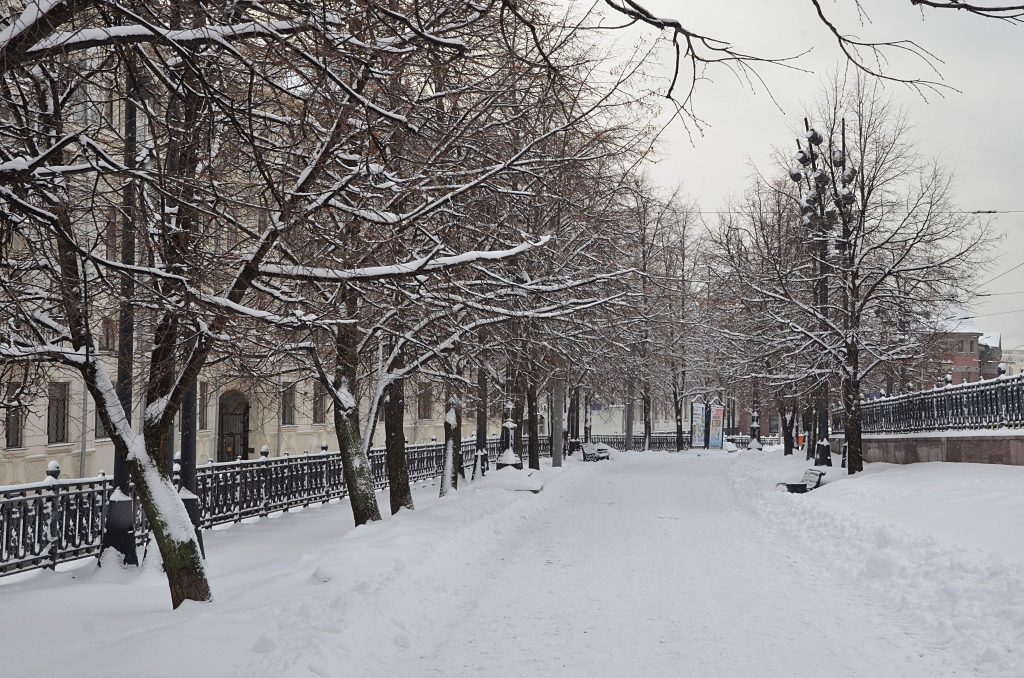 Морозная погода без осадков ожидается в столице в воскресенье