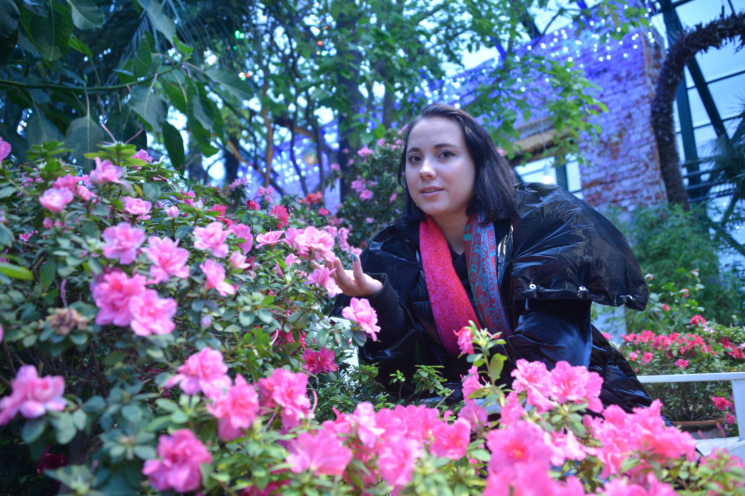Ежегодный зимний Фестиваль орхидей открылся в Ботаническом саду имени Петра I -пишет  caoinform.moscow