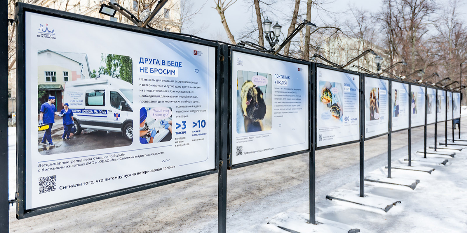 Основная цель проекта – популяризация ответственного отношения к домашним животным.  Фото: сайт мэра Москвы