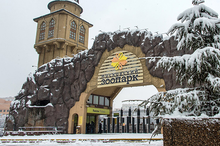 Главный вход в Московский зоопарк временно закроют