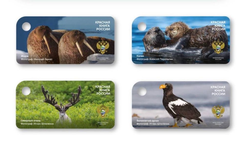 Всего в продажу поступили сувениры в четырех уникальных дизайнах — с орланом, моржом, оленем и каланом. Фото: Telegram-канал Дептранса