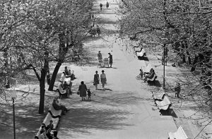 1960-е. Аллея бульвара. Фото: Главархив Москвы