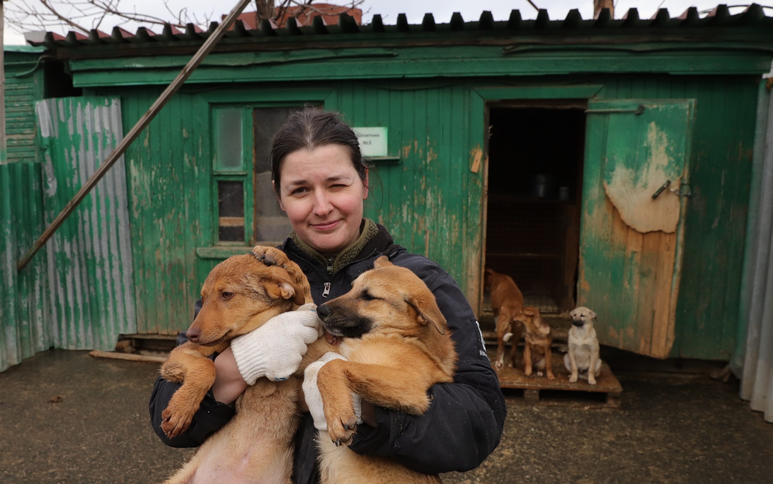 1 апреля 2023 года. Волонтер Дарья Тарасова держит на руках щенковКорицу(справа) и Мулана. Фото: Анатолий Цымбалюк, «Вечерняя Москва»