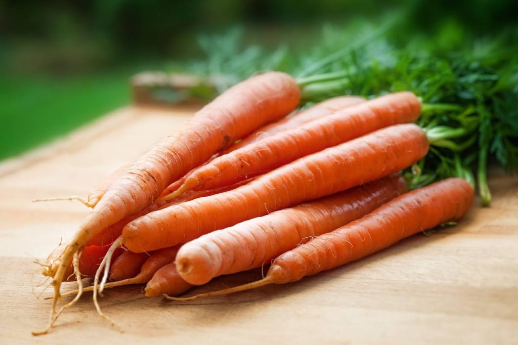 Морковные гуру, или как пройдет шестой сезон работы Общественного огорода в Парке Горького