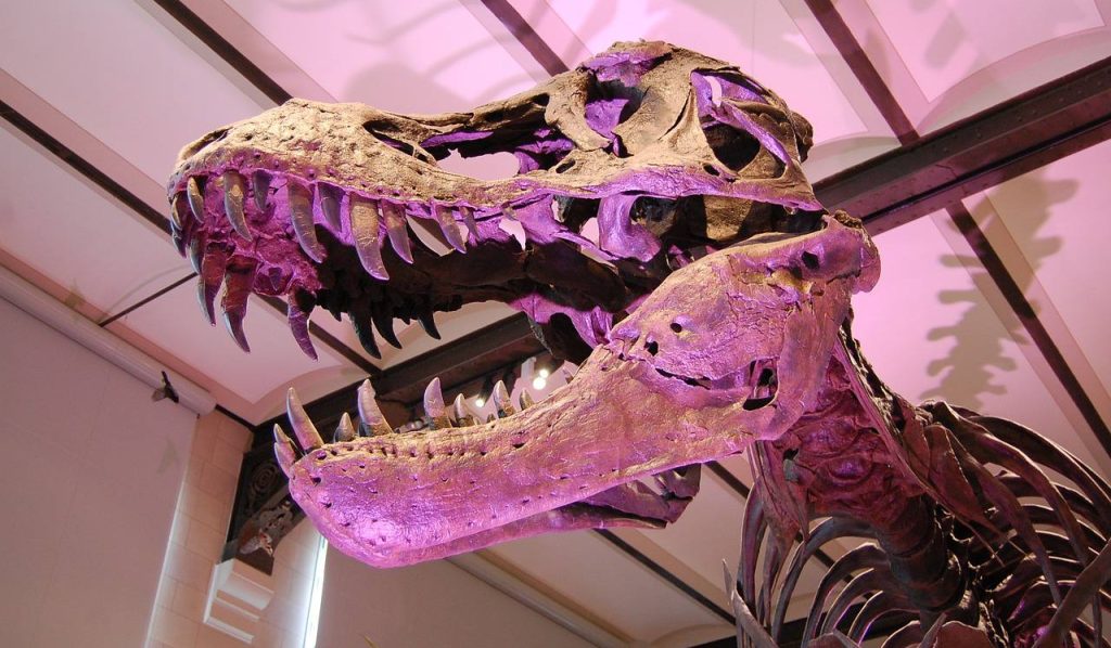 Фестиваль «Динозавры на каникулах» пройдет в ЦДМ на Лубянке