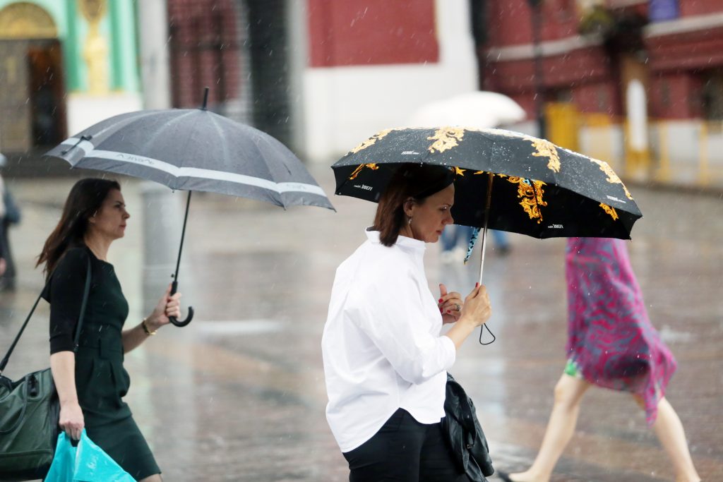 Синоптики спрогнозировали кратковременный дождь и грозу в Москве