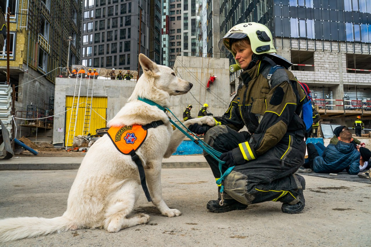 Спасатели продемонстрируют тренировки со служебными собаками в рамках МУФ. Фото: сайт мэра Москвы