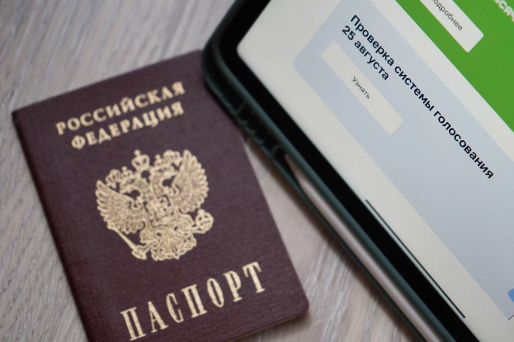 Дмитрий Медведев проголосовал онлайн на выборах мэра Москвы