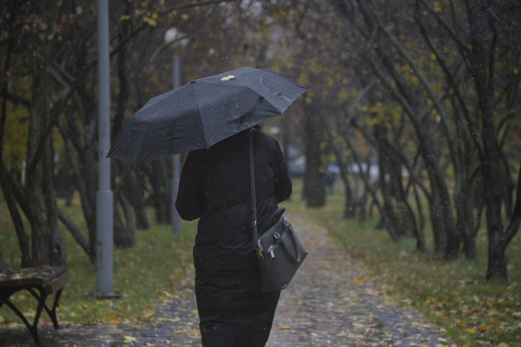 Дождь со снегом обещали синоптики в Москве