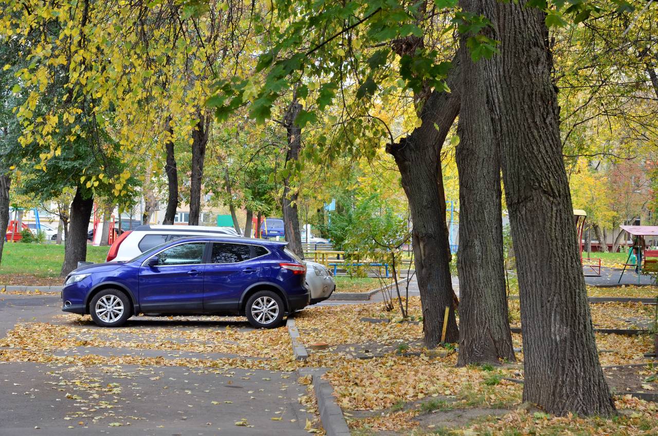 Специалисты очистили водоприемные решетки, которые находятся на парковках. Фото: Фото: Анна Быкова, «Вечерняя Москва»