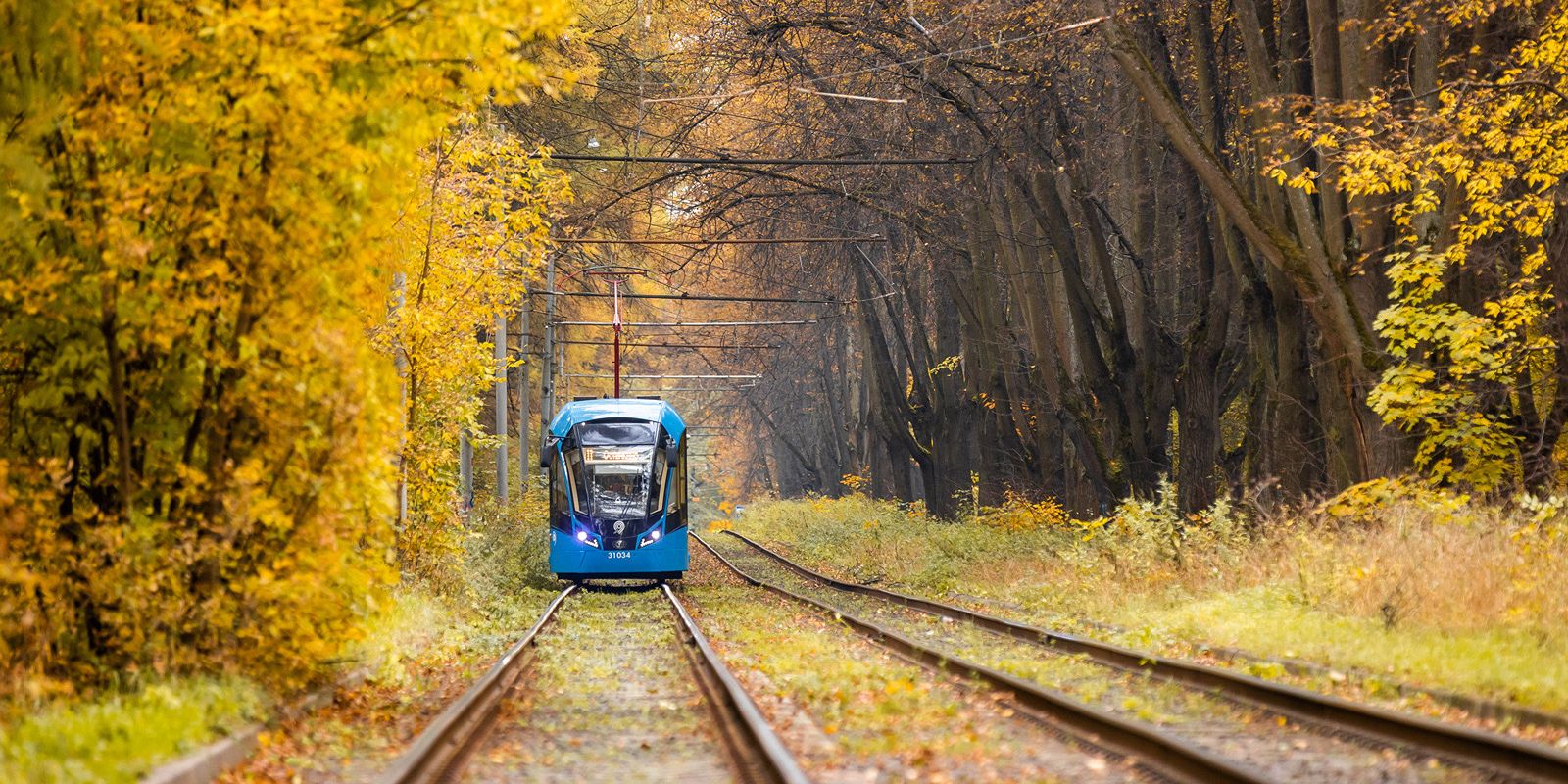В месяц на наземном городском транспорте совершается свыше 18,5 миллиона поездок до десяти основных вокзалов. Фото: сайт мэра Москвы