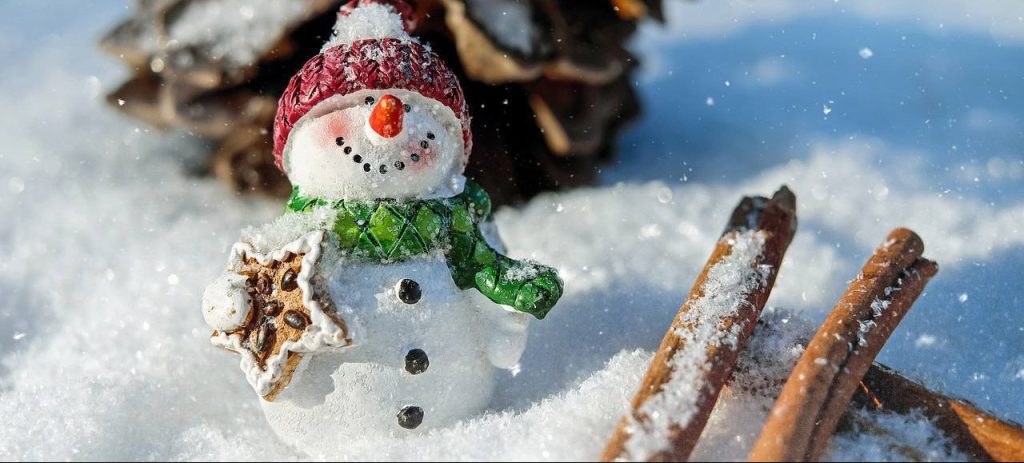 Лепим снеговиков: конкурс объявили в Московском зоопарке