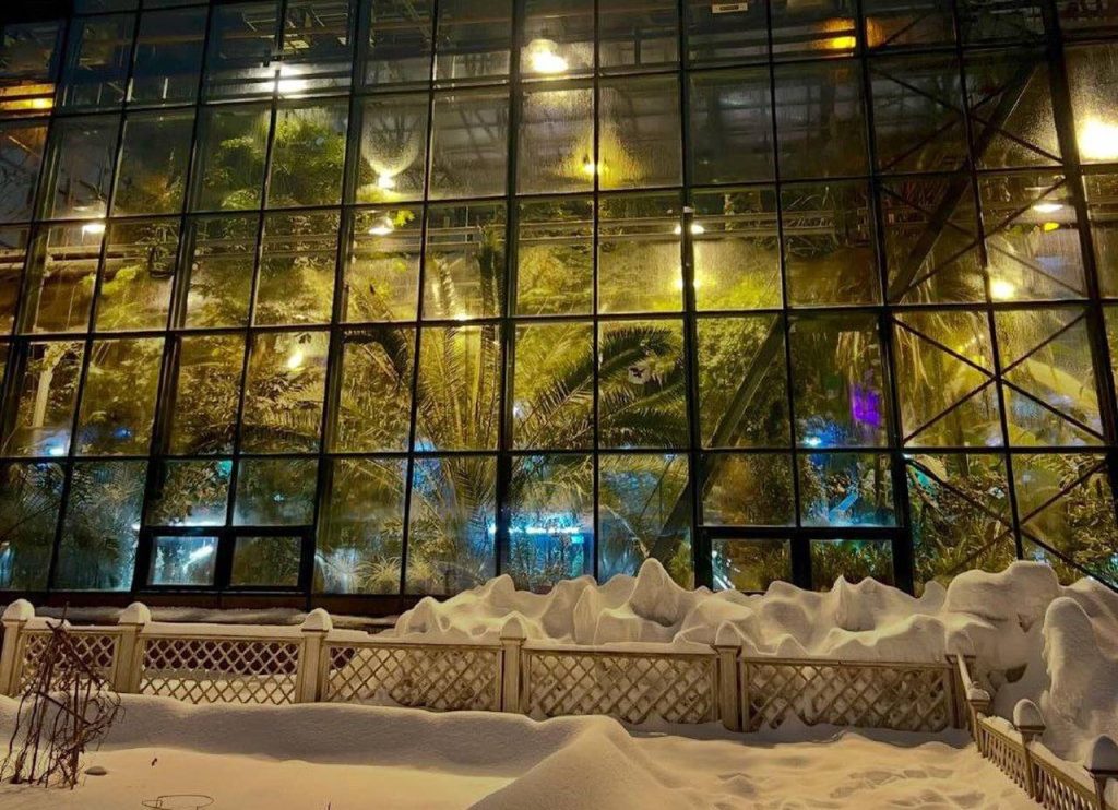 Между летом и зимой, или Какие экспонаты можно увидеть в Пальмовой оранжерее Ботанического сада МГУ