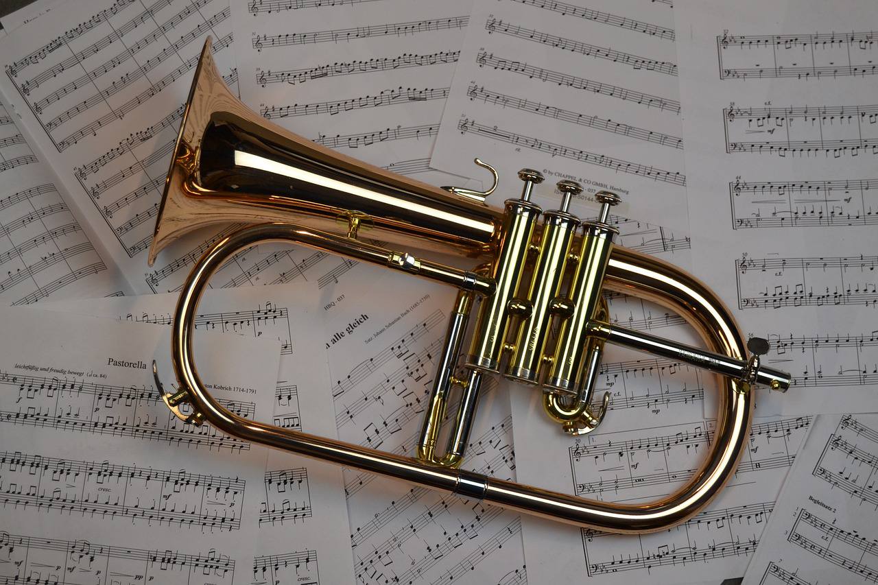 Гости смогут услышать композиции, сыгранные на музыкальной трубе. Фото: pixabay.com