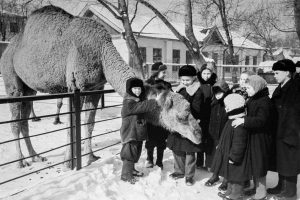 Дети у вольера с верблюдом в Московском зоопарке. Фото: В.Акимов, Главархив Москвы
