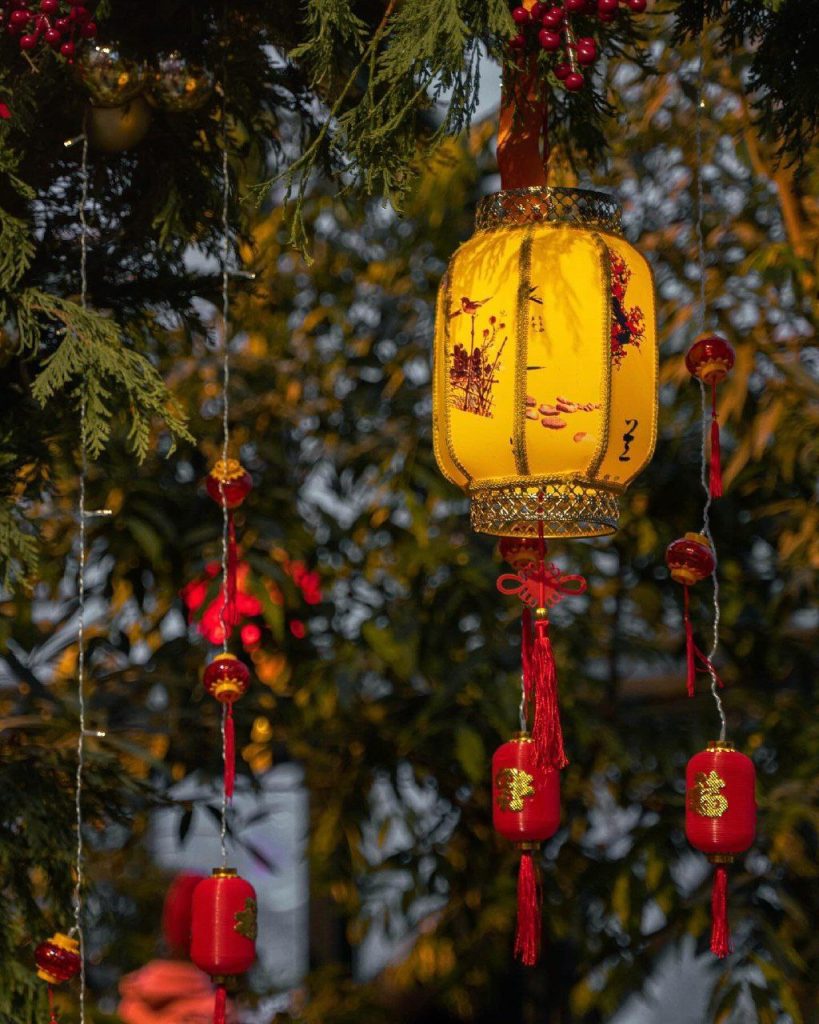 Восточная сказка до весны: фестиваль «Китайский Новый год» продлят в Ботаническом саду МГУ