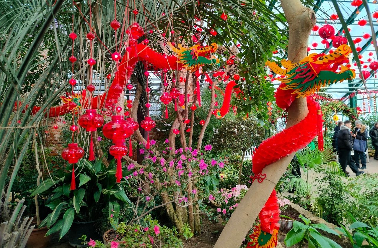 Азиатский аморфофаллус расцвел во время Китайского Нового года в Субтропической оранжерее. Фото: пресс-служба «Аптекарского огорода»
