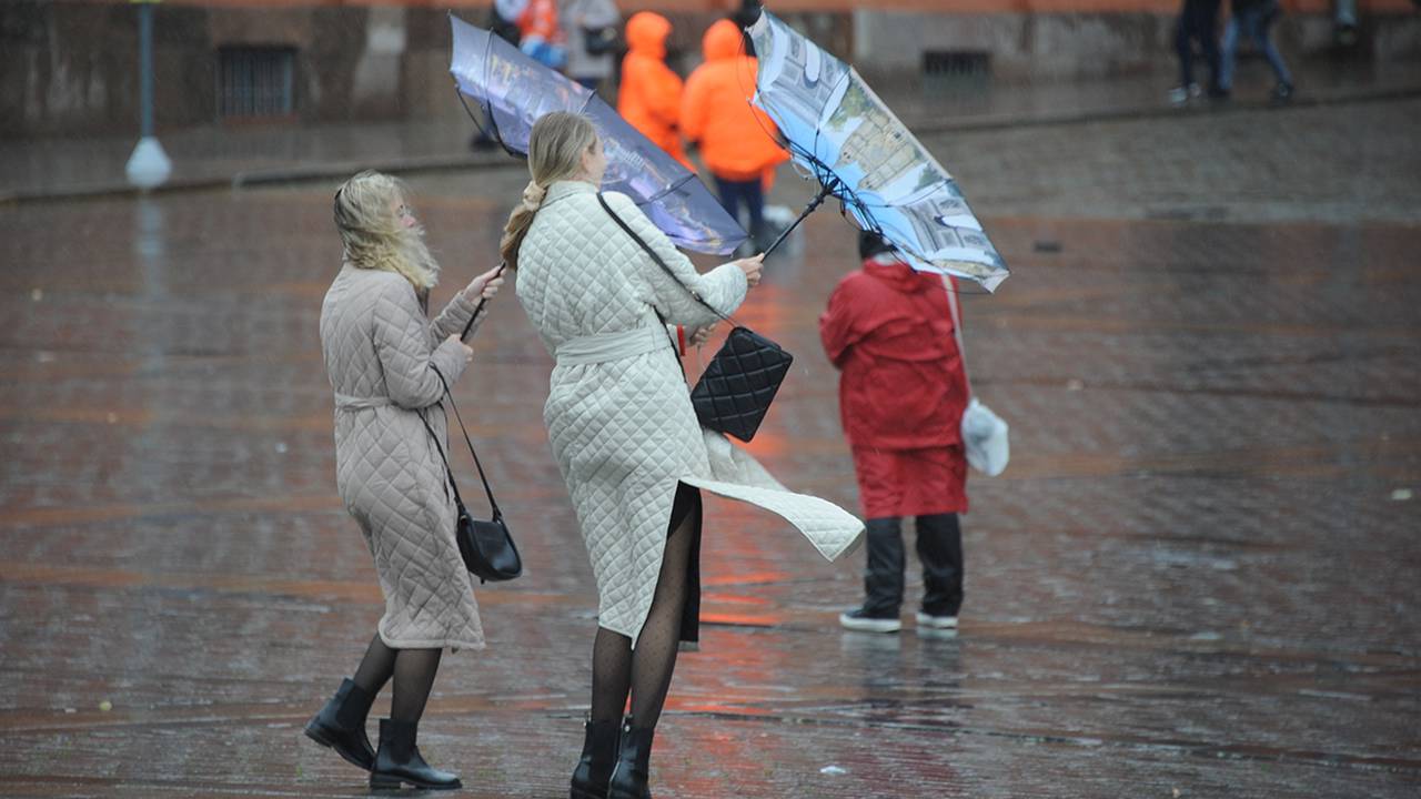 Москвичей предупредили о дожде и сильном ветре 12 апреля. Фото: Пелагия Замятина, «Вечерняя Москва»