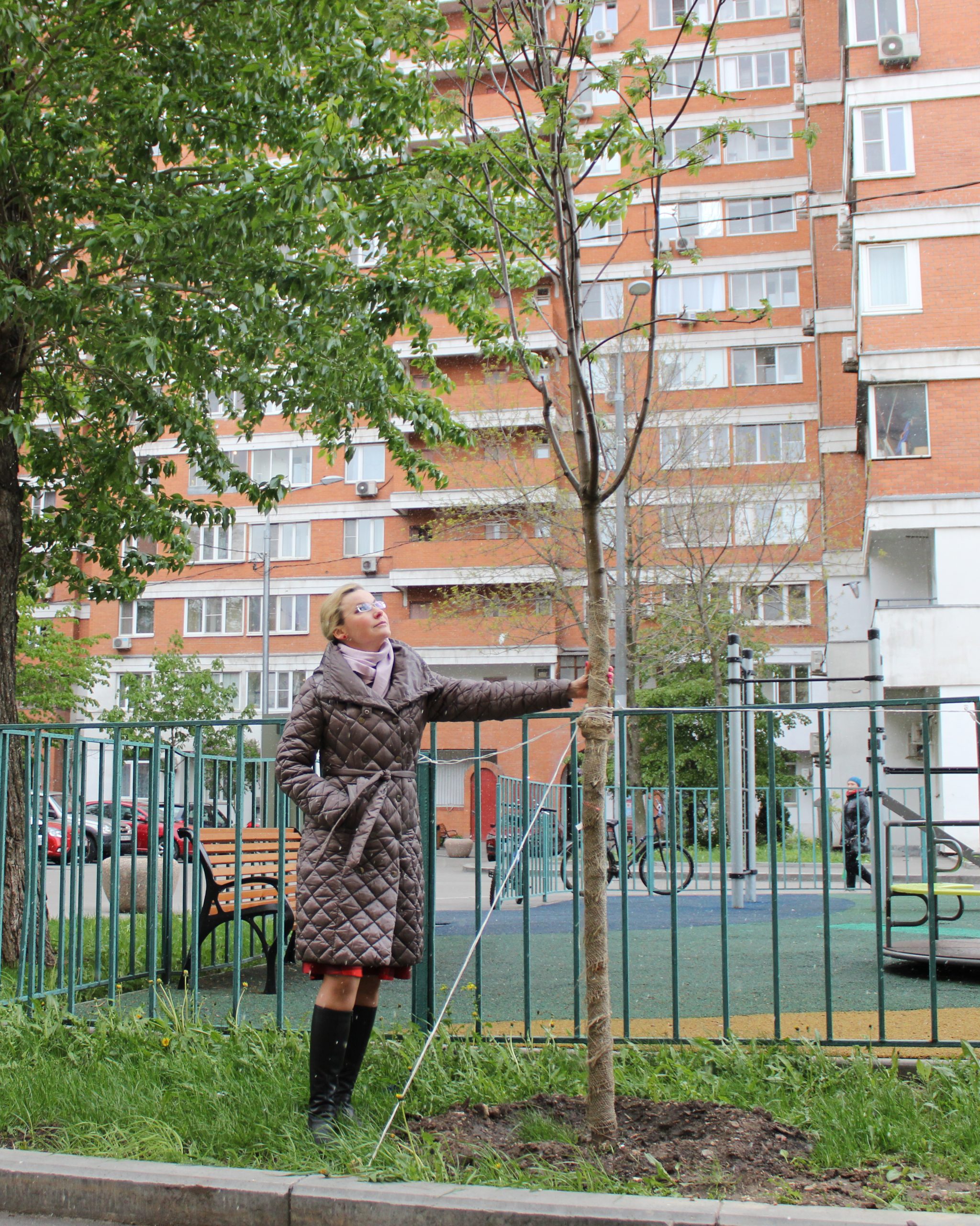 Любовь Иконникова показывает недавно посаженное дерево. Листочки распустились, а значит, оно уже прижилось. Фото: Мария Хапцова, «Вечерняя Москва»