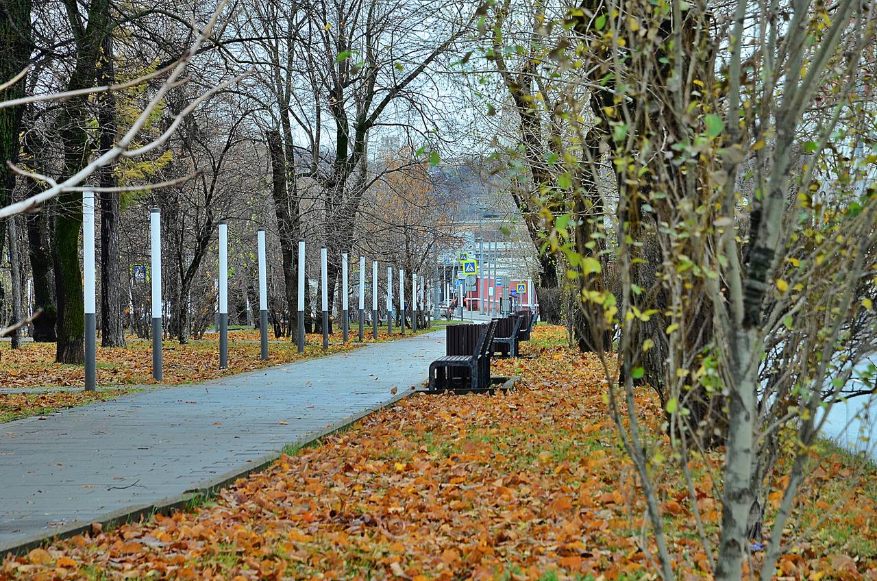 Какие продукты питания отправляют московские предприниматели в зону СВО. Фото: Анна Быкова, «Вечерняя Москва»